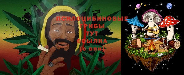 Альфа ПВП Алексин